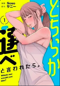 Dochira Kaerabeto Iwaretara